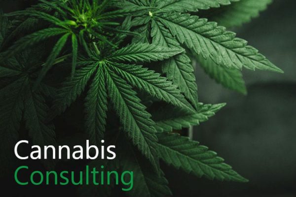 Tele-Consulting (1-hour)